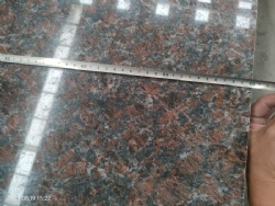 Tan Brown Granite Flooring Tiles from China Stone Factory